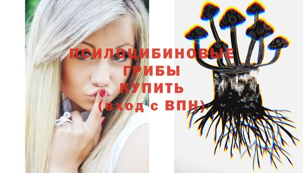 мяу мяу кристалл Елизово