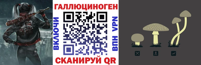 купить наркотики цена  Власиха  Галлюциногенные грибы Psilocybine cubensis 